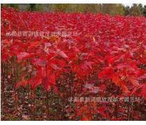 產(chǎn)品庫(kù)